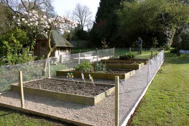 new veg garden 2