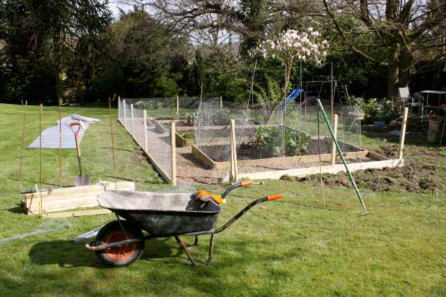new veg garden 3