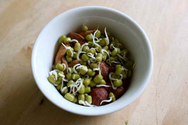 nuts and mung bean sprouts