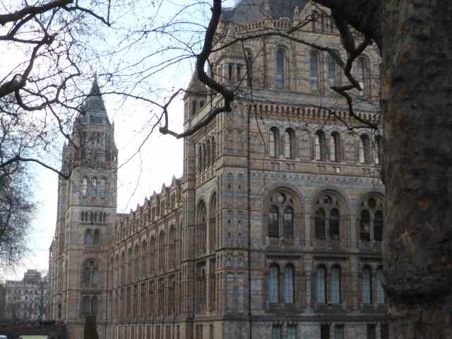 Outside NHM