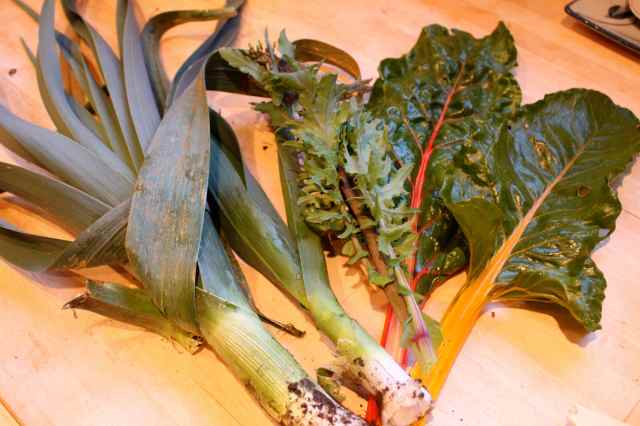 veg from garden 28-3-14