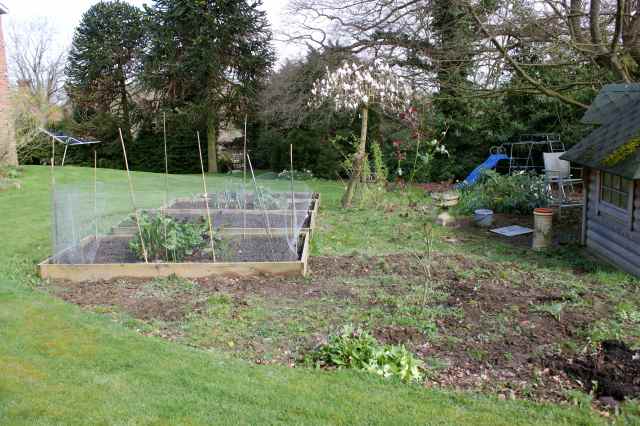 veg garden 22-3-14 2