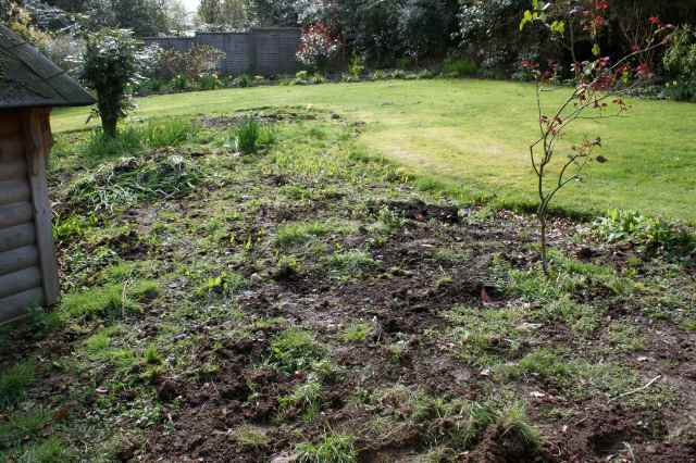 veg garden makeover 4