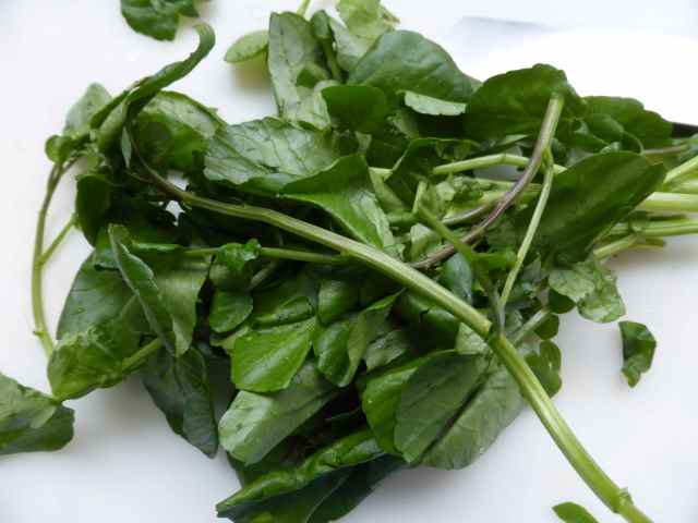 watercress