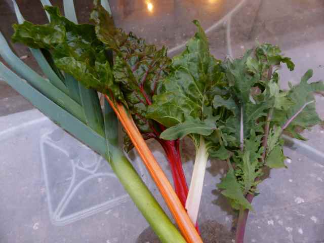 leek, kale and chard