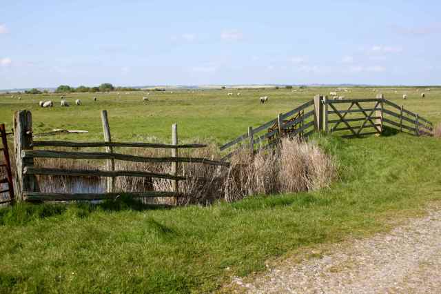 Oare fences 1