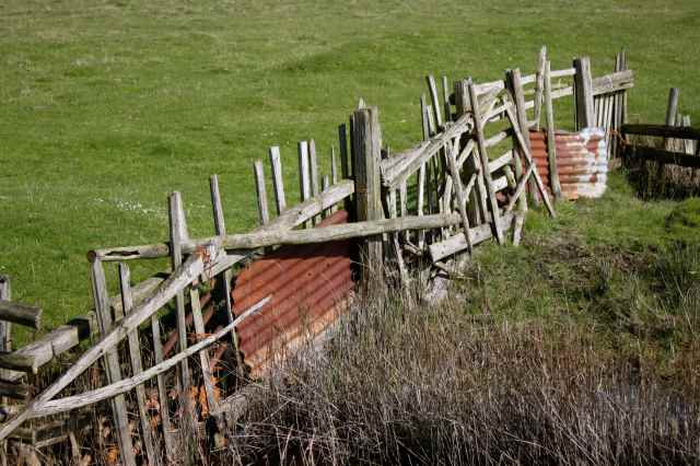 Oare fences 2