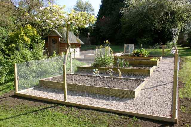 Veg garden 1