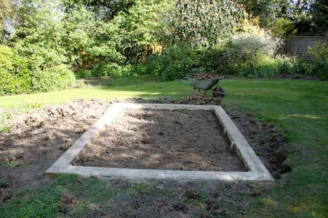 veg garden 3
