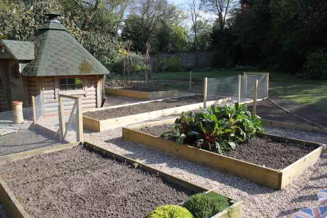 veg garden 4