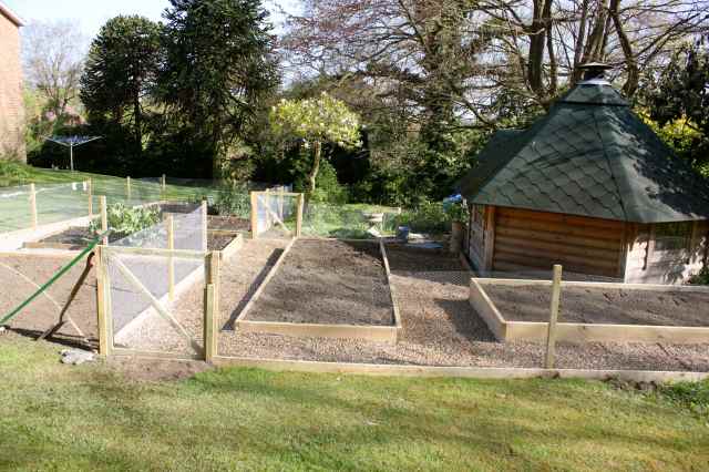 Veg garden 6