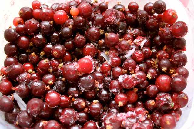 blackcurrants frozen