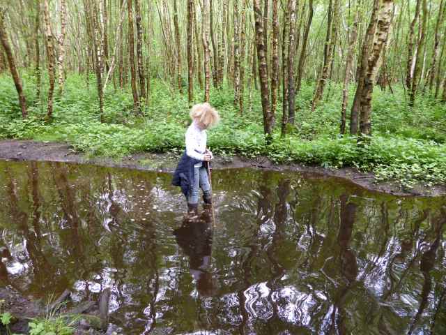 H in pond