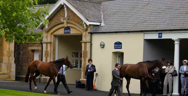 horses at Ascot