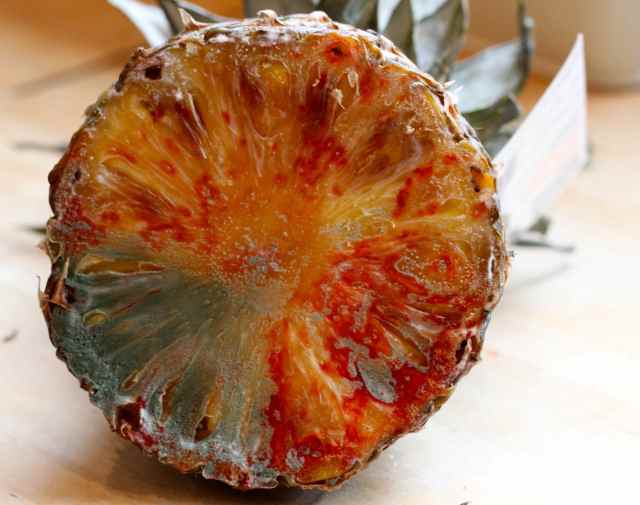 mouldy pineapple 2