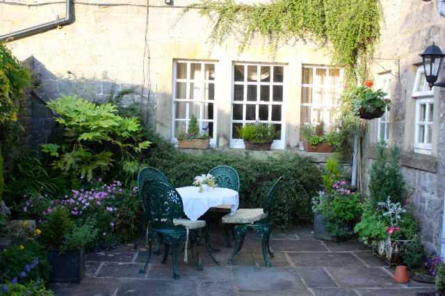 our courtyard garden