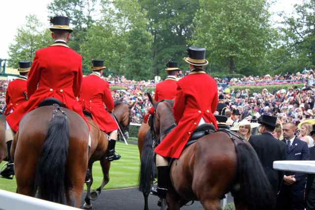 Queen's horses 1
