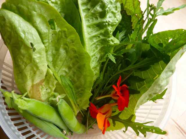 salad in basket with peas