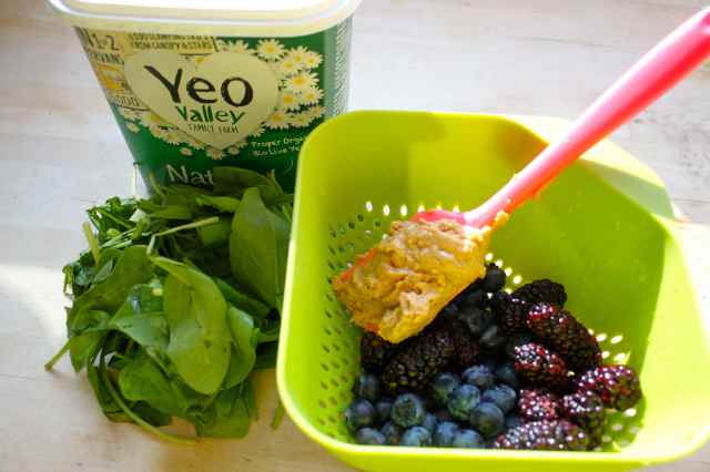 smoothie ings 19-6-14