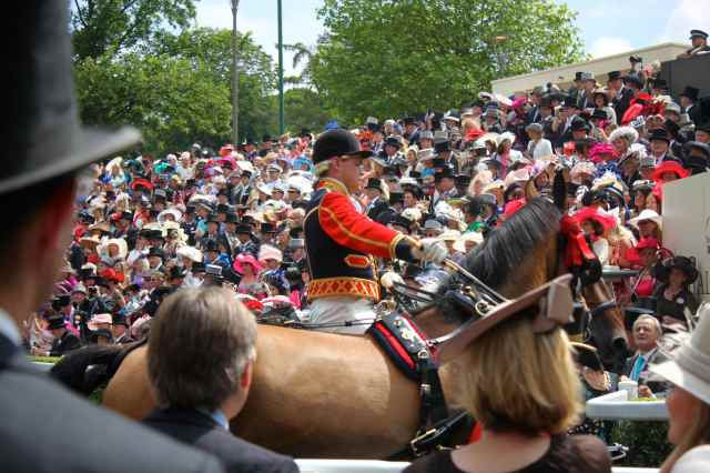 taking the horses back