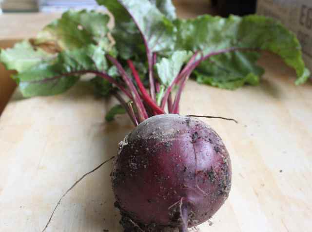 beetroot and leaves 23:7