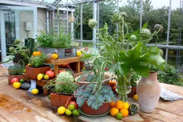 display in greenhouse