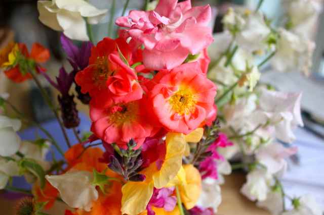 flowers from the garden