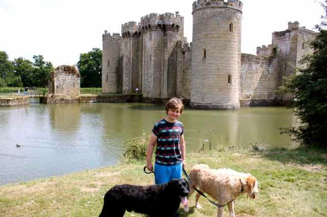 Harvey and dogs at Bodiam