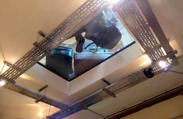 looking up in Timber Yard