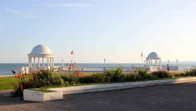 rotunda and red hot poker