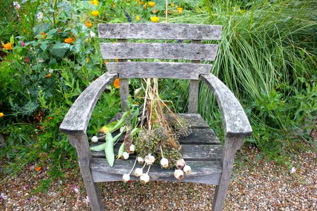 seed heads on chair