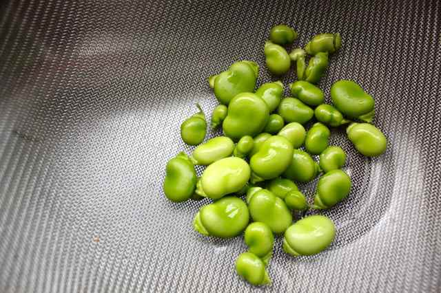 small broad beans