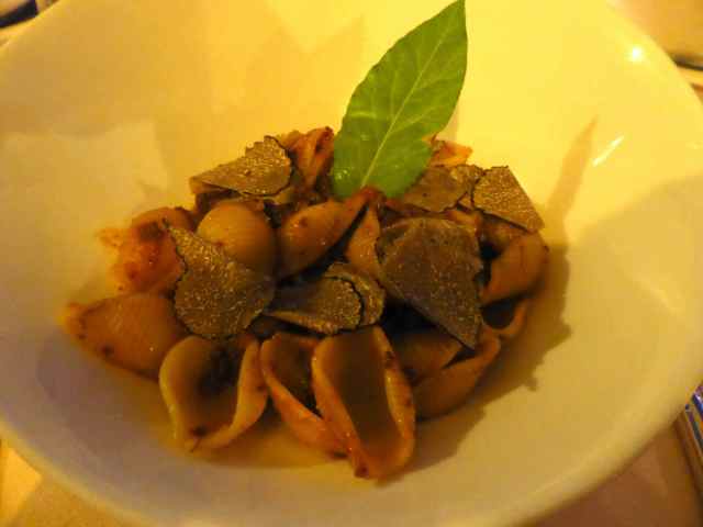 conchiglie goose ragout with truffles
