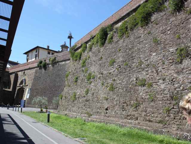 Forte Belvedere