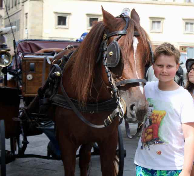 H by horse in Firenze