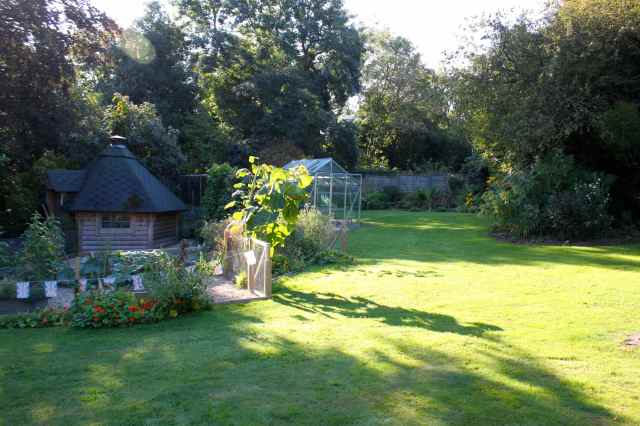 long shadows on the lawn