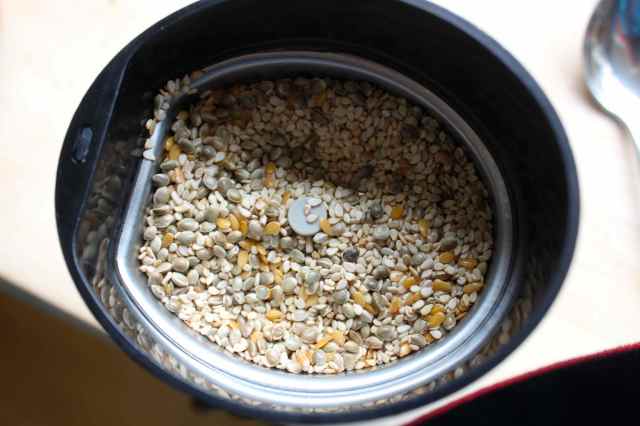 seeds in grinder