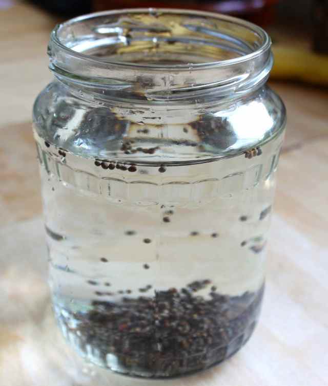broccoli seeds in water