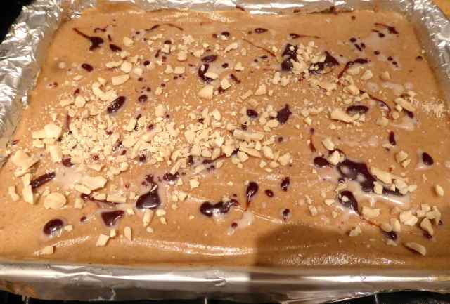 Coconut and nut slice in tray