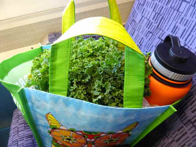 kale in bag on train
