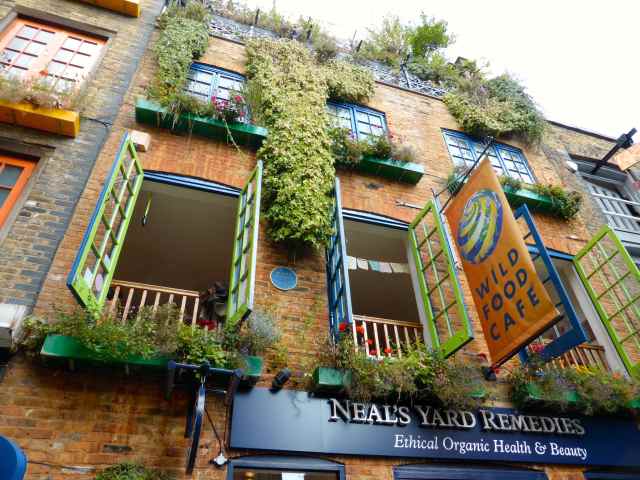 Outside Wild Food Cafe