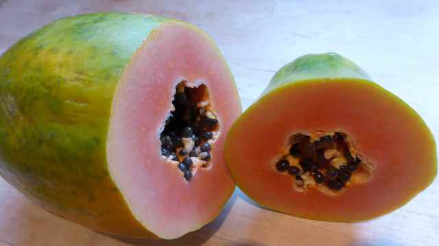 papaya 2