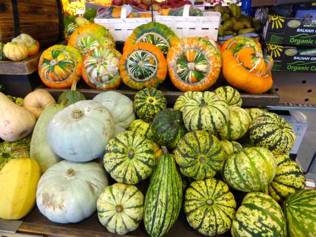 pumpkins in WF