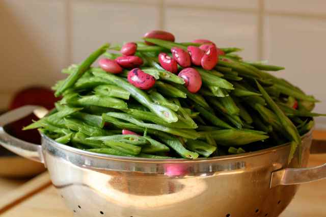 runner beans 7-9 1