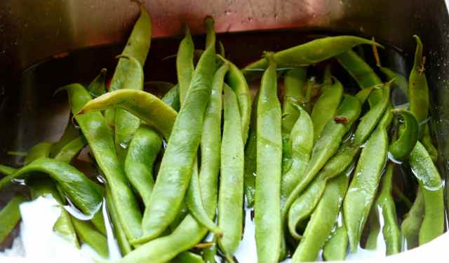 runner beans in sink