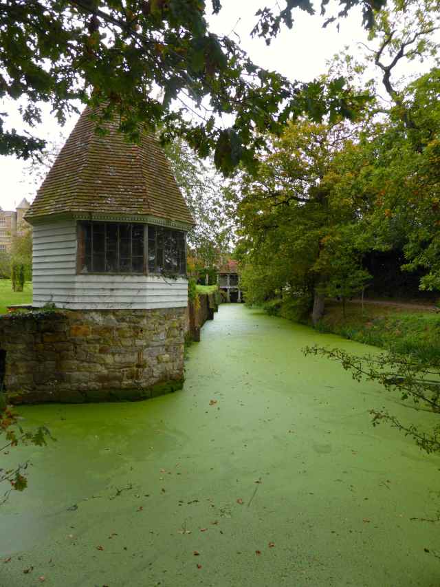 algae at Sissinghurst