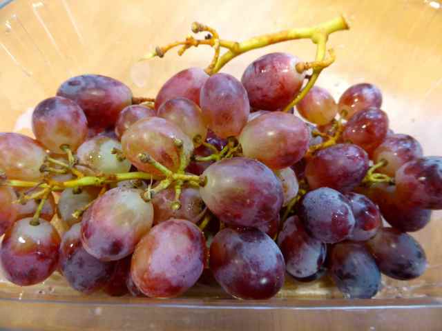 grapes 16-10-14