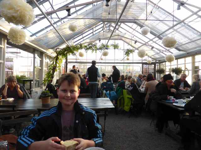 Harvey at Tradgarden