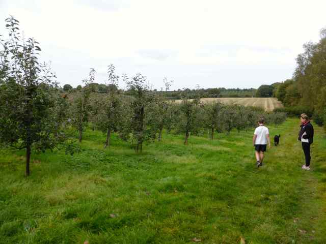 L and H at apple orchard