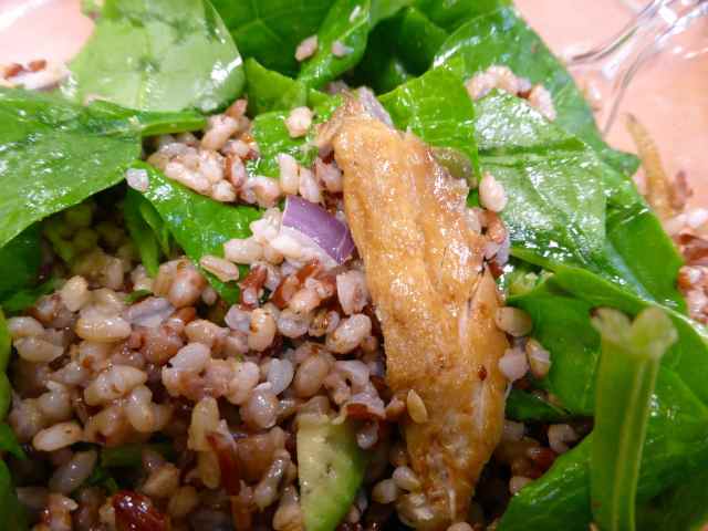 mackerel salad 22-10-14